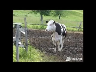 best xnxgalsa milena 0045 mp4 best