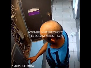 best мужчина что то ищет в электрическом щитке на отрадной 11 best