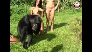 best monkey and brasilian girls best