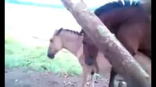 best обожрутся своего сена и потом ябутся в жопы конь глиномес best