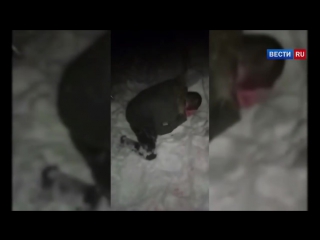 best воронежские охотники за головами отрезали палец закладчику за воровство молодые best
