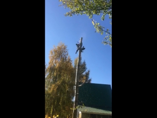 best спиливание удаление деревьев кустарника расчистка участков покос травы и вывоз любой сложности 8 920 211 76 22 best