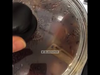 best а муж плачет нахрена она столько готовит не съем обидится best