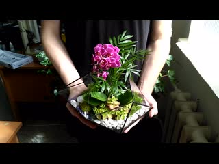 best коктейль из орхидеи и тропических растений в форме карат best