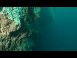 best exploring mysterious and enigmatic belize great blue hole best