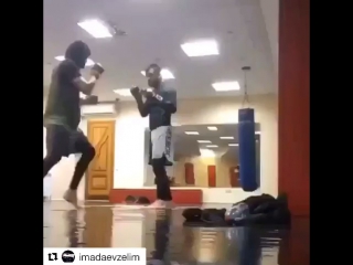best вагаб вагабов и зелим имадаев тренироа с роберто фломинго best