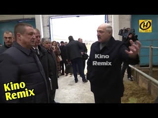 best еле живая скотина или как лукашенко дрючит чиновников ржач до слез бать те нормально 3 0 смешные приколы 2019 best