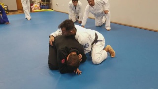 best somersault back take best
