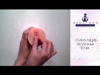 best сексуальное образование как удовлетворить женщину академия сексуального образования best