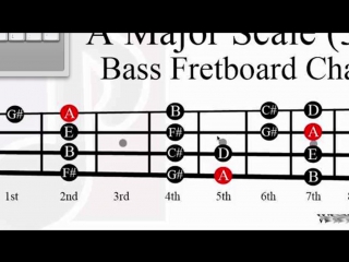 best udemy learn bass guitar have fun amaze your friends its eas best
