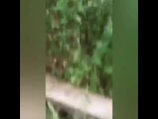 best очевидцы сняли на видео как взрывной волной выбило все стёкла в доме комментарии огонь best