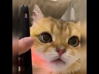 best когда утром слушаешь голосовые которые ты отправлял ночью пьяным best