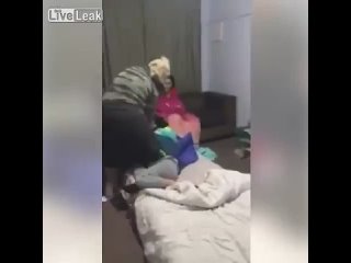 best да отстань ты свиноматка от меня best