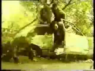 best ленинград 1985 год комсомольская юность димона медведева best
