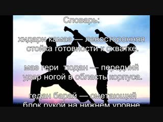 best 15 видеоурок уке но гогенри uke no go genri пять принципов защиты best