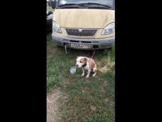 best saw vid 20210701 081114 mp4 best