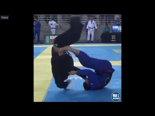 best bjj scout вот это баттерфлай свип ренато кардосо 2018 ibjjf vitoria open best
