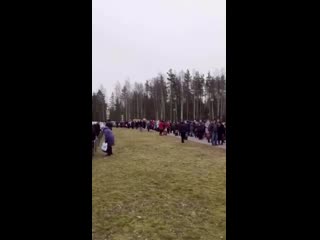 best онкоцентр поселок песочный ленобласть best