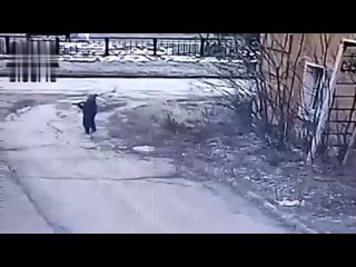 best 18 депутат переехал маленького мальчика немного постоял возле него и скрылся best