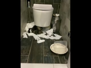 best забыла закрыть дверь в туалет и мои котька не растерялся best