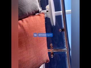 best конар макгрегор заснял в сторис как ему жена доставляет оральное удовольствие best