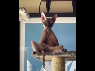 best как прошли ваши выходные в смысле прошли best