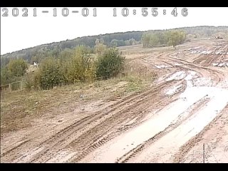 best незаконное стадо пасется возле полигона кучино best