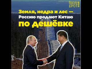 best земля недра и лес россию продают китаю по дешёе best