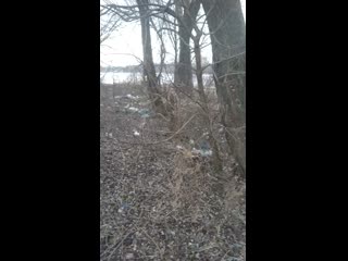 best crampie vid 20200116 091600 mp4 best