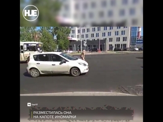best в уфе голая девушка загорала на капоте автомобиля best