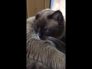 best видео от новый ковчег помощь бездомным молодые best