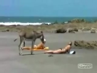 best осторожно позордве школьницы разделись на вебку 18 best