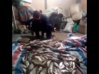 best что нормальные мужики на рыбалке делают best