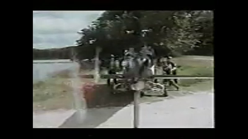 best парк куриного периода парк цыплячьего периода chicken park vhs фильм 1994 года в главных ролях джерри кала деметра best
