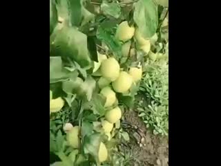 best на это невозможно спокойно смотреть хочется попробовать всё и сразу best