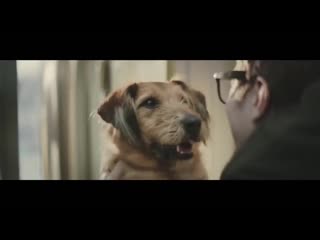best очень трогательная социальная реклама dogs trust that special someone best