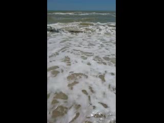 best tv mov 0218 mp4 best