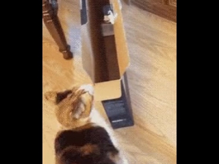 best как я вижу девушек которые покупают одежду на пару размеров меньше best