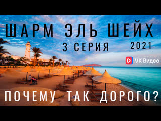 best египет 4 часть шарм эль шейх я в шоке цены на билеты обзор отеля аквапарк еда снорклинг море albatros aqua blue best