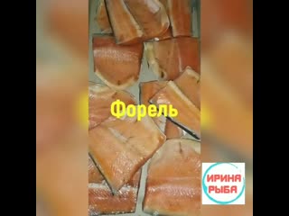 best форель масляная иринарыбафорель иринарыбамасляная только у нас в альметьевске свежее поступление и самый большой best