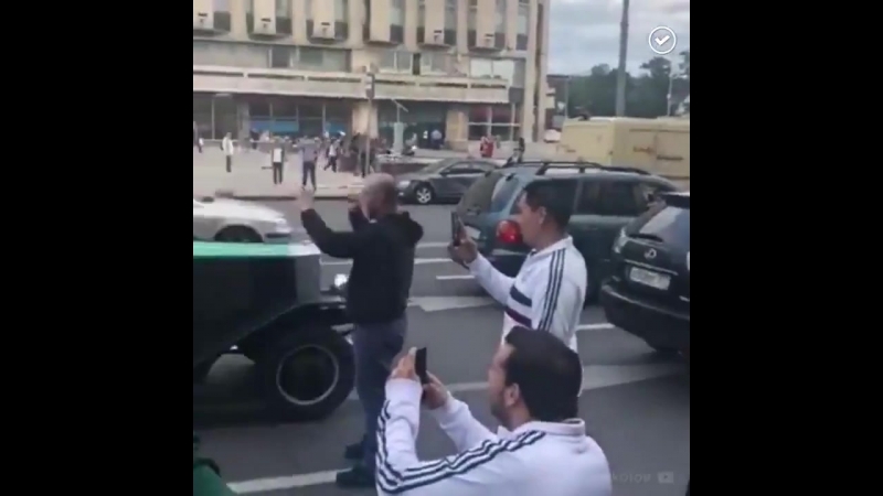 best м 2018 медведь в центре москвы показывал неприличные жесты наш ответ робби уильямсу best