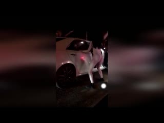 best танцовщицы из ставрополя оказались приличными девушками танцевали не голыми как могло показаться best