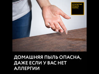 best домашняя пыль опасна даже если у вас нет аллергии best