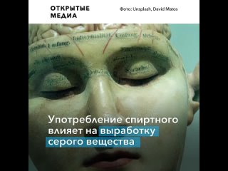 best любая доза алкоголя вредна для организма установили в оксфорде best