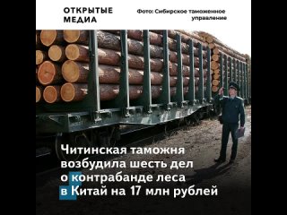 best прощай тайга таможня возбудила дела о контрабанде леса в китай на 17 млн рублей best