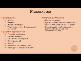 best гинекология анатомия женских половых органов только для медиков best