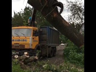 best спиливание удаление деревьев кустарника расчистка участков покос травы и вывоз любой сложности 8 920 211 76 22 best