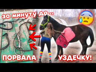 best лошадь порвала уздечку буду ли заниматься с мартини дальше best