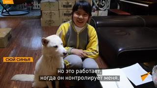 best to view this video please enable javascript and consider upgrading to a web browser that supports html5 video best