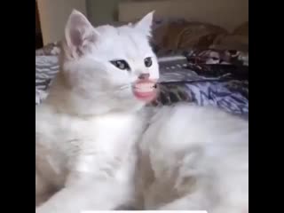 best а всё уже а надо было раньше просить best